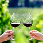 Incontro “Sostenibilità vitivinicola attuale e futura”