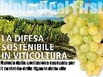 8 Marzo: La difesa sostenibile in agricoltura.